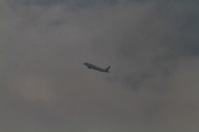 Осужден петербуржец, который пытался открыть в небе дверь самолета из Кольцово