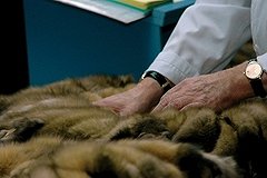 В Греции россиянки арестованы за кражу шубы