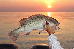 Путин лишил госпомощи зарегистрированных в офшорах