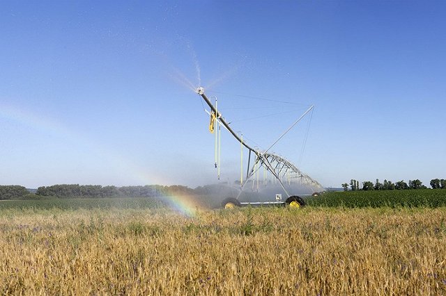 Уральские школьники стали чаще интересоваться аграрными специальностями
