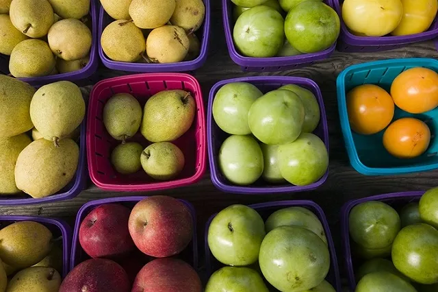 Бельгийский вице-премьер напомнил Рогозину о качестве яблок и груш