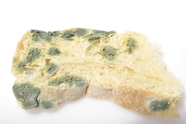 Мать московской девочки-«маугли» оказалась невменяемой