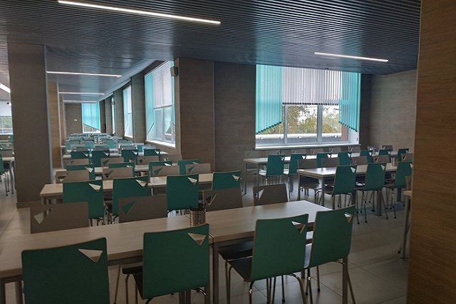 Чем сегодня кормят детей в школьных столовых