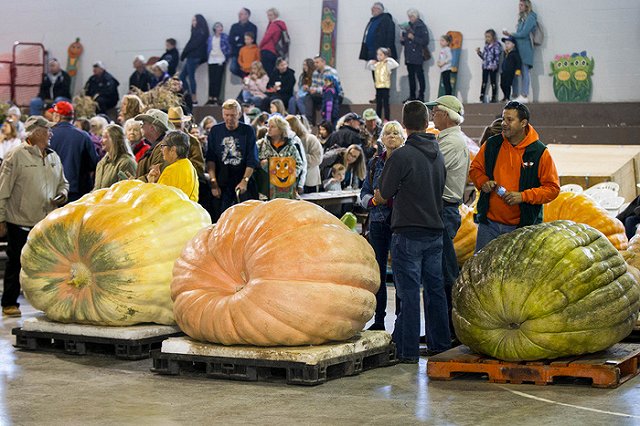 Российская фигуристка нашла идеальную страну