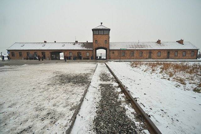 Девушка, загрузившая на сайт «Бессмертного полка» фото Гитлера, задержана в Тульской области