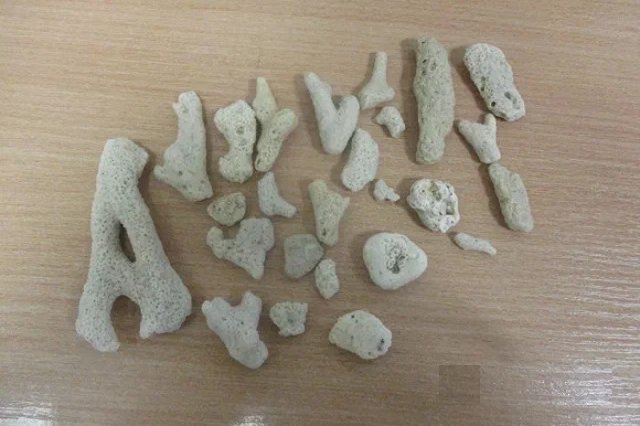 Пассажирку с 25 кораллами задержали в аэропорту Кольцово