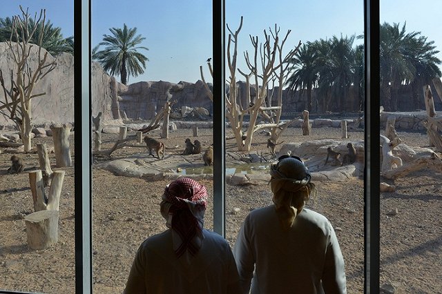 Судебные приставы в Екатеринбурге изъяли у жителя ОАЭ более 160 млн рублей