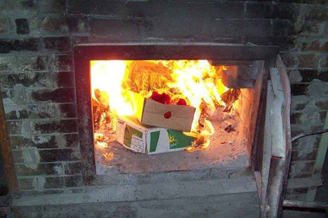 Россельхознадзор получит право уничтожать сельхозпродукцию из Турции с 1 января