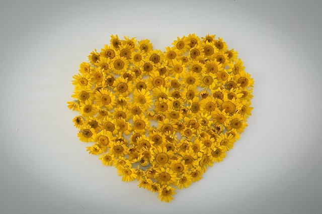 Свердловчане смогут без помощи врачей доставать людей с того света