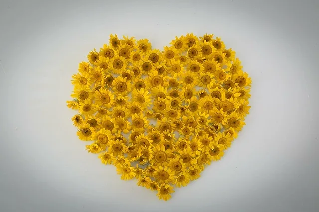 Свердловчане смогут без помощи врачей доставать людей с того света