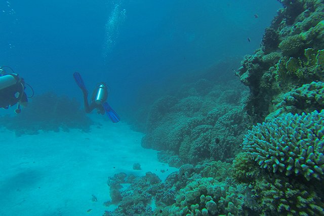 Глава дайверской федерации Удмуртии погиб в сочинской подводной пещере