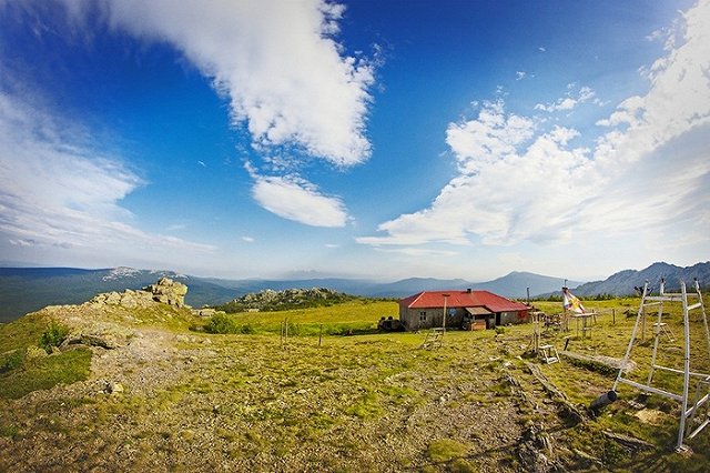Забег марафона, на котором заблудилась екатеринбурженка, выиграла свердловчанка