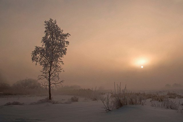 В Екатеринбурге к четвергу незначительно потеплеет: от -2 до + 2