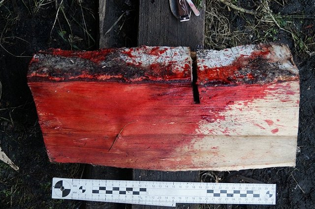 В Свердловской области один пенсионер убил другого поленом