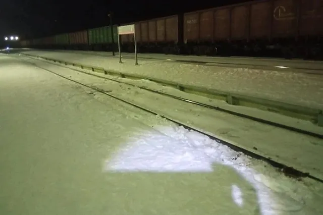 В Екатеринбурге поезд насмерть сбил уралочку