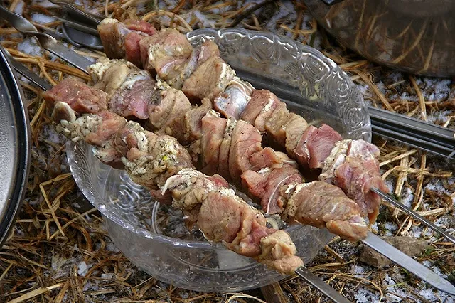 В России предложили ввести «налог на шашлык» в лесу