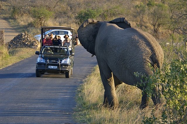 Ученые: Фотографирование увиденного улучшает визуальную память