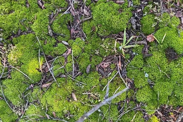 На Урале произошло землетрясение