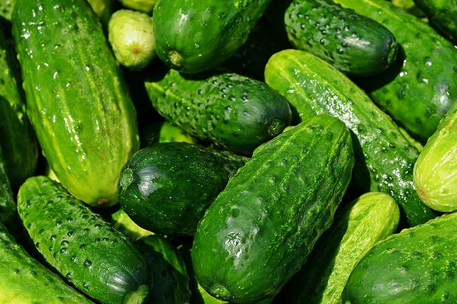 Назван продукт, который в Свердловской области подорожал в разы больше, чем яйца