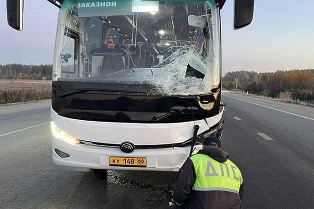 Под Верхней Пышмой автобус насмерть сбил человека
