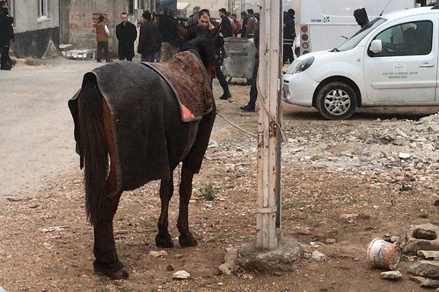 В Дагестане осудили на восемь лет спасенную из Сирии женщину