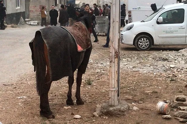 В Дагестане осудили на восемь лет спасенную из Сирии женщину