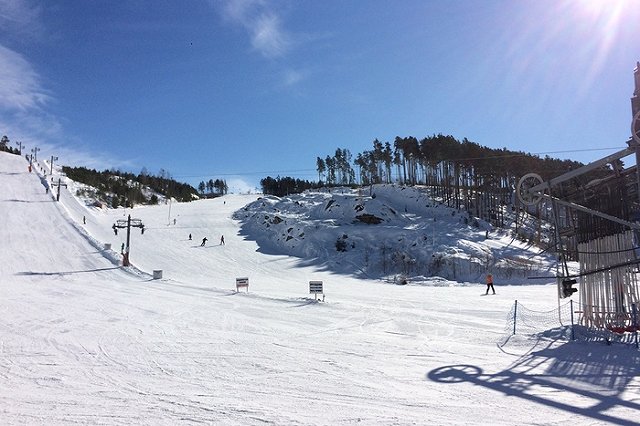 ГЛК «Уктус» отказывается платить ₽50 млн за трассу в охраняемой зоне