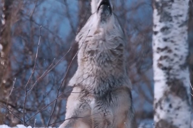 Скандального преподавателя челябинского вуза отстранили от работы за откровенные снимки в соцсети