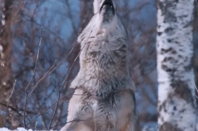Скандального преподавателя челябинского вуза отстранили от работы за откровенные снимки в соцсети