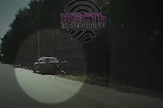 В Екатеринбурге затравили блогера, «бившего собаку молотком»