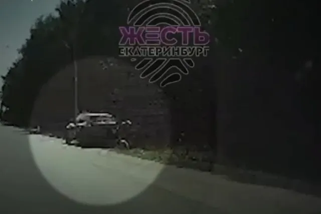 В Екатеринбурге затравили блогера, «бившего собаку молотком»