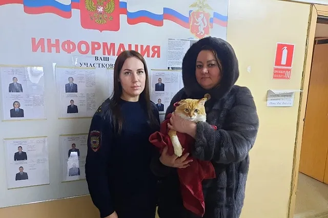 Зоозащитники забрали кота, над которым издевался свердловский блогер