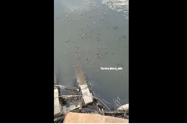 Екатеринбуржцы засняли стекающую вниз по Исети подозрительную субстанцию