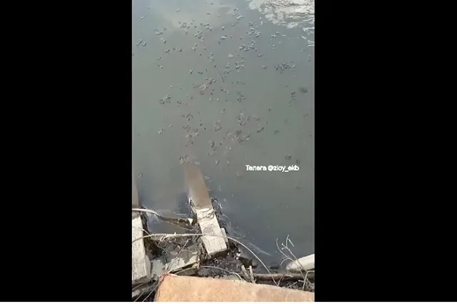 Екатеринбуржцы засняли стекающую вниз по Исети подозрительную субстанцию