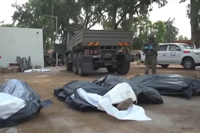 Израильская журналистка, рассказавшая об обезглавленных детях, призналась, что сама их не видела