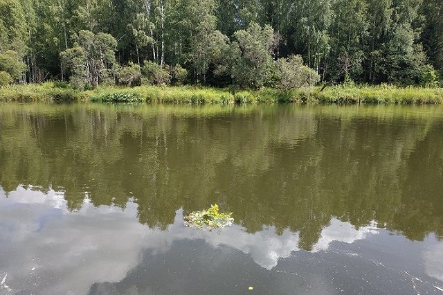 «Собирают цветы». Названы виды туризма, которых доселе не было в Свердловской области