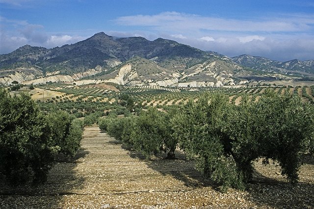 К концу века Испания и Португалия превратятся в пустыню