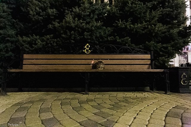 Правительство предложило переходный период для пенсионной реформы