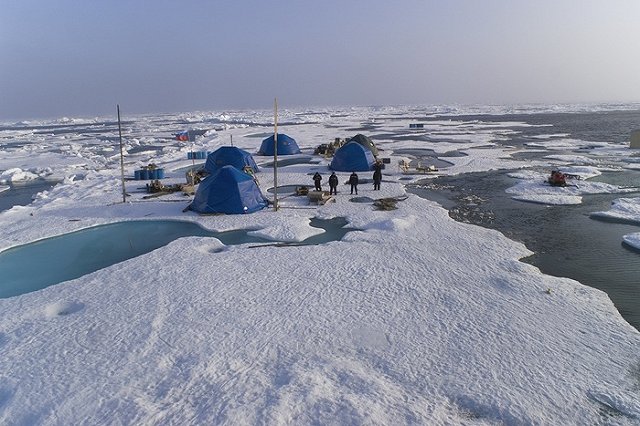 Круизы по Арктике и Антарктике появятся в России в 2021 году