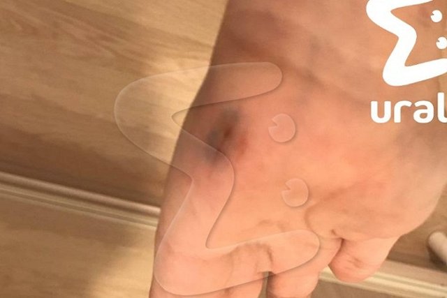 В Екатеринбурге незнакомый бородач пытался затащить в лесополосу девушку