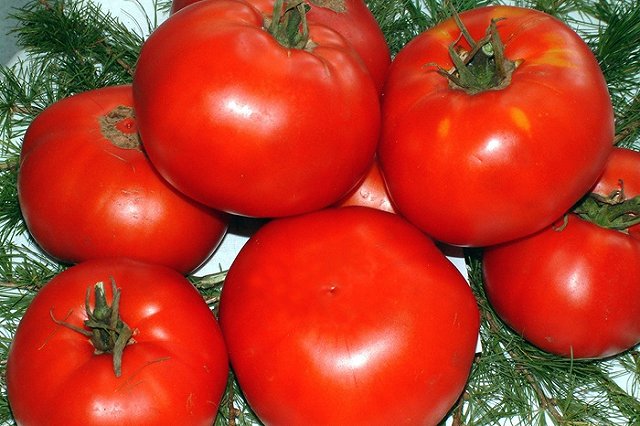 В МЭР рассказали о влиянии отмены турецкого эмбарго на продуктовые цены