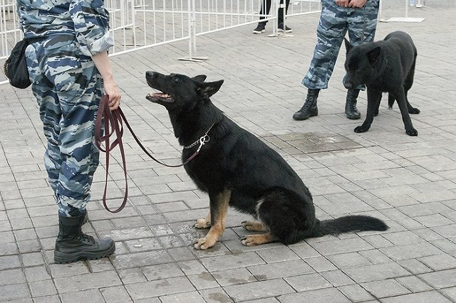 Стали известны жуткие подробности жизни убийцы девочки из Каменска-Уральского