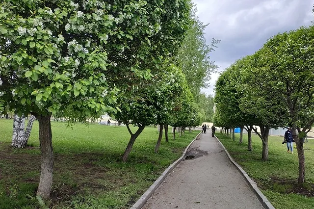 «Золотое яблоко» обвинили в организации протестов в сквере