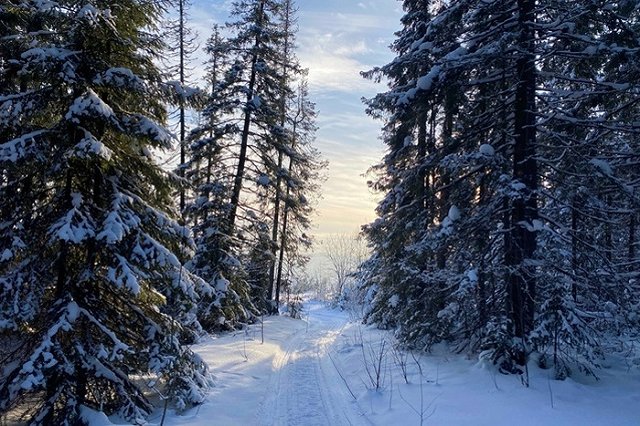 Синоптики заявили, что в Екатеринбурге потеплеет до нуля