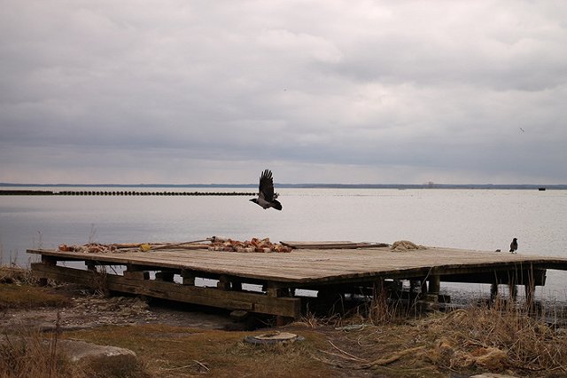 В Свердловскую область вновь придут морозы