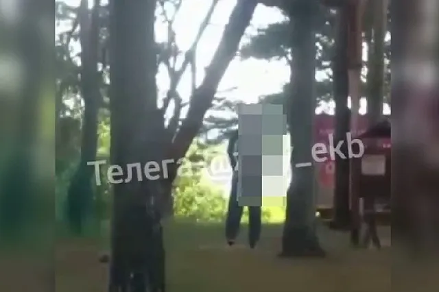 В лесу под Екатеринбургом найден труп, который висел на дереве