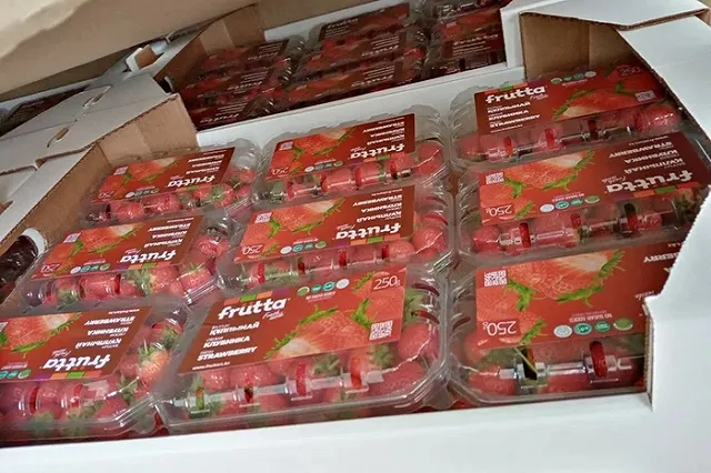 Таможенники не пропустили в Свердловскую область 1,5 тонны клубники