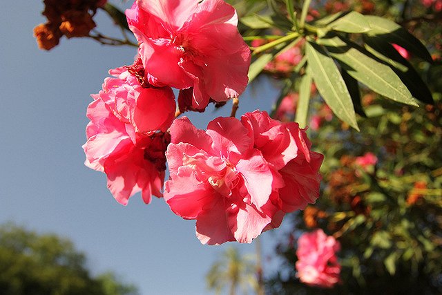 Семью из Екатеринбурга едва не выселили из отеля в Испании