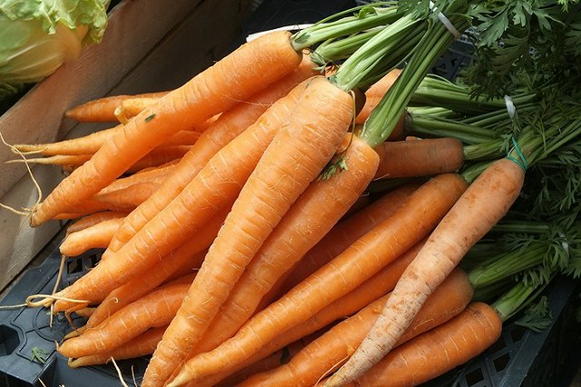 В Екатеринбурге будут вылавливать продукты с ГМО