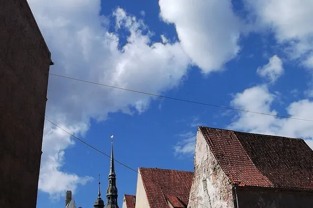 В Латвии потерявшей детей в ТЦ матери запретили позвать их на русском языке